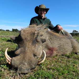 Warthog Many Battle Scars