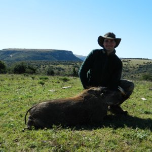 Altitude Warthog Hunting