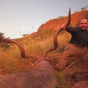 Wide Trophy Kudu