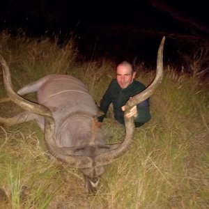 Amazing Eastern Cape Kudu