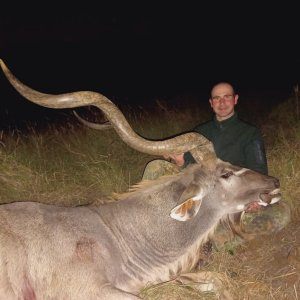 Huge Neck Kudu