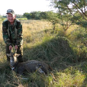 Big Neck Bushbuck