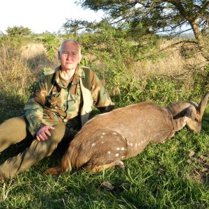 Eastern Cape Bushbuck