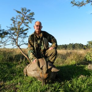 Hunting Cape Bushbuck