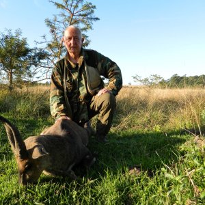 Sharp Tips Cape Bushbuck