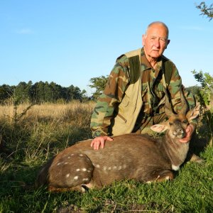 Old Warrior Cape Bushbuck