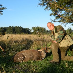 Last Evening Bushbuck Hunting