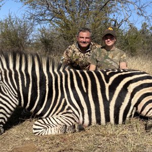 Zebra Hunting South Africa