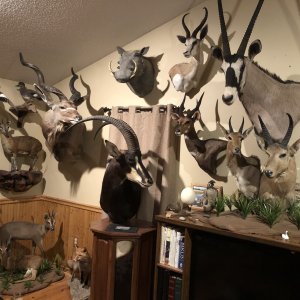 Trophy Room