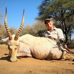 White Blesbok Bow Hunt South Africa