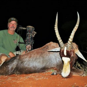 Blesbok Bow Hunt South Africa