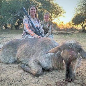 Female Waterbuck Hunt South Africa