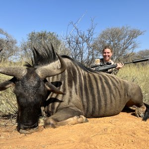 Blue Wildebeest Hunt South Africa