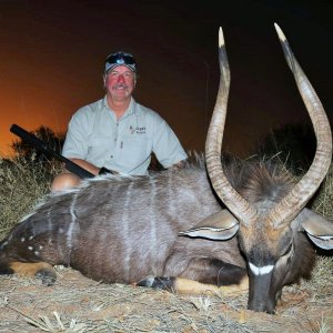 Nyala Hunt South Africa