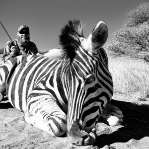 Zebra Hunting South Africa