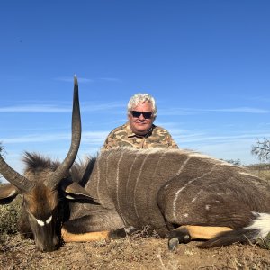 Nyala Hunt South Africa