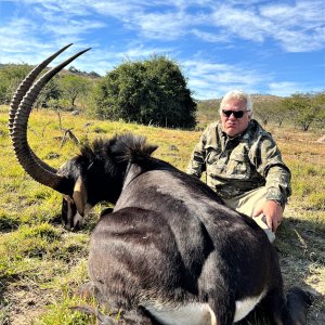 Hunting Sable South Africa