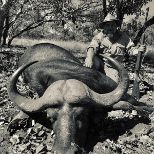 Buffalo Hunting South Africa