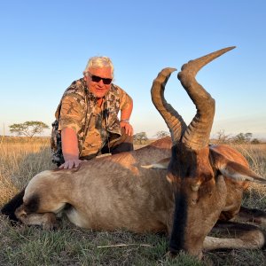 Hartebeest Hunt South Africa