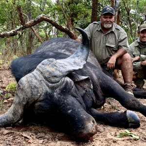 Buffalo Hunting Tanzania