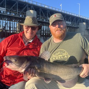 Fishing Catfish Selkirk Manitoba