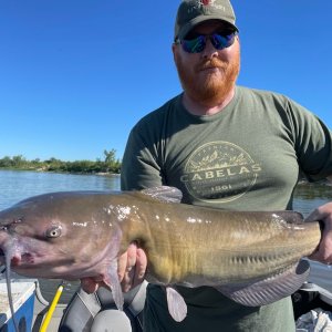 Fishing Catfish Selkirk Manitoba