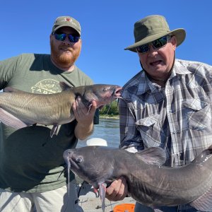 Fishing Catfish Selkirk Manitoba