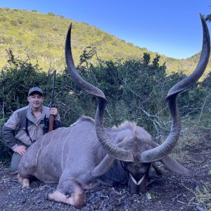 Kudu Hunting Eastern Cape South Africa