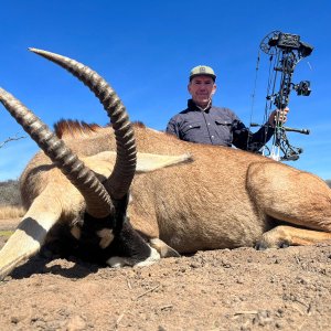 Roan Bow Hunt South Africa