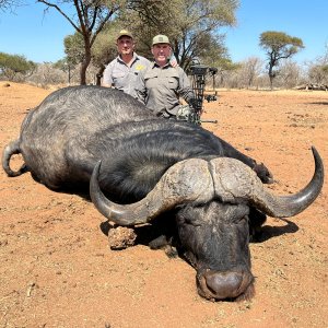 Cape Buffalo Bow Hunt South Africa