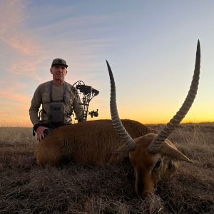 Lechwe Bow Hunt South Africa