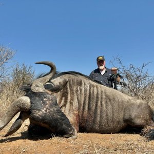 Blue Wildebeest Hunt South Africa