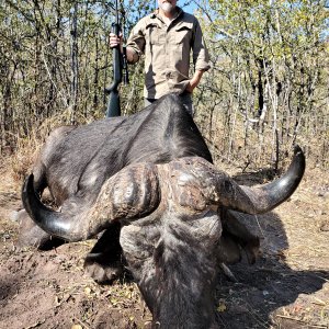 Buffalo Hunting Zimbabwe