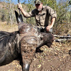 Buffalo Hunting Zimbabwe