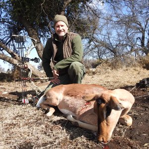 Impala Bow Hunt South Africa