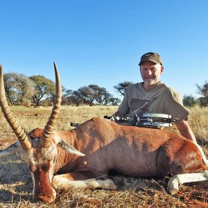 Blesbok Bow Hunt South Africa