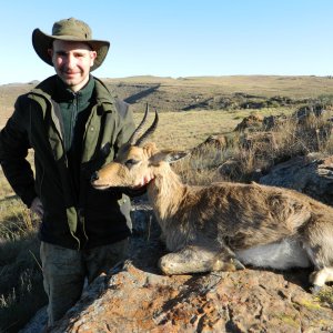 Mountain Reedbuck Hunt South Africa