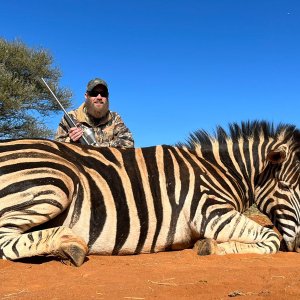 Zebra Hunting South Africa