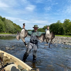 Goose Hunting