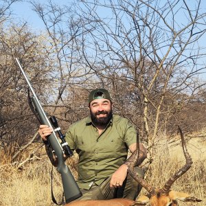 Impala Hunt Limpopo South Africa