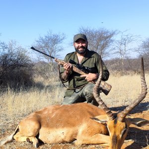 Impala Hunt Limpopo South Africa