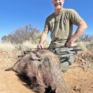 Warthog Hunt South Africa