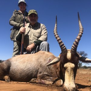 Blesbok Hunt South Africa