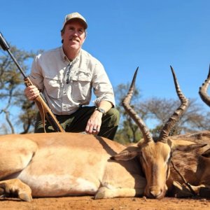 Impala Hunting Hunt South Africa