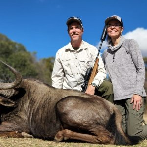 Blue Wildebeest Hunt South Africa