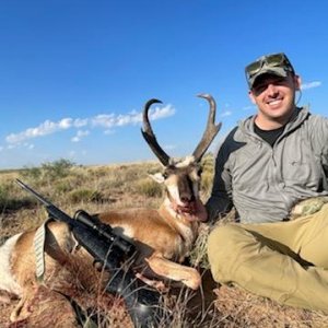 Pronghorn Hunt New Mexico