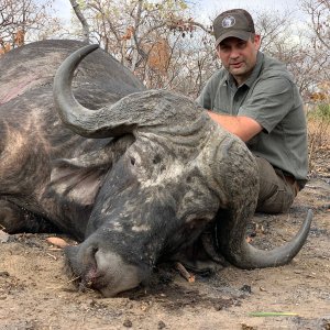 Buffalo Hunting Niassa Mozambique