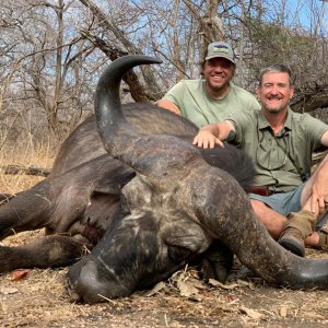 Buffalo Hunting Niassa Mozambique