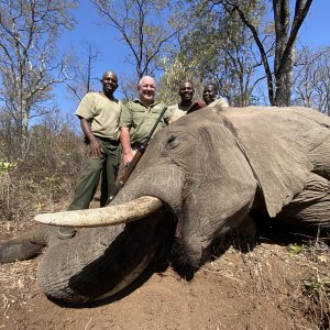 Elephant Hunting Zimbabwe