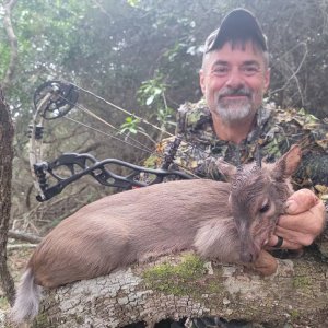 Blue Duiker Bow Hunt South Africa